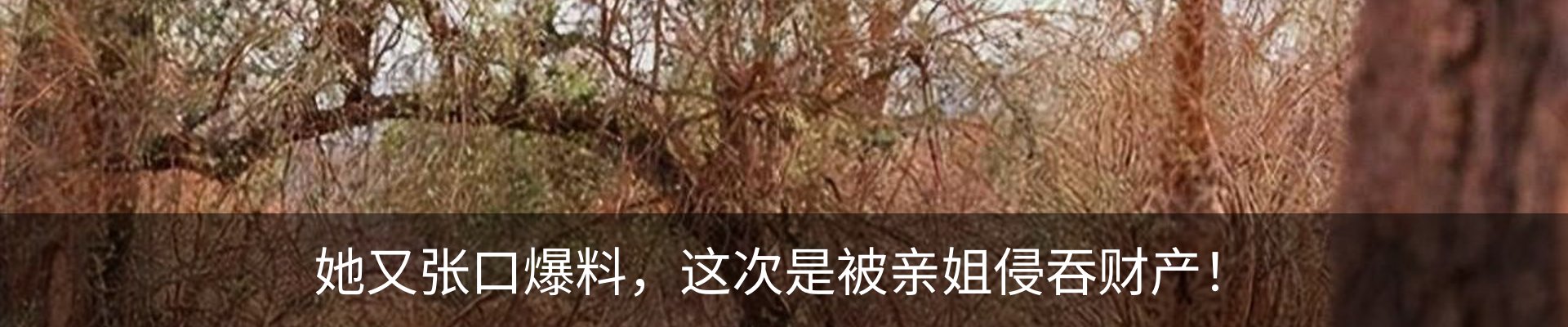 内页banner