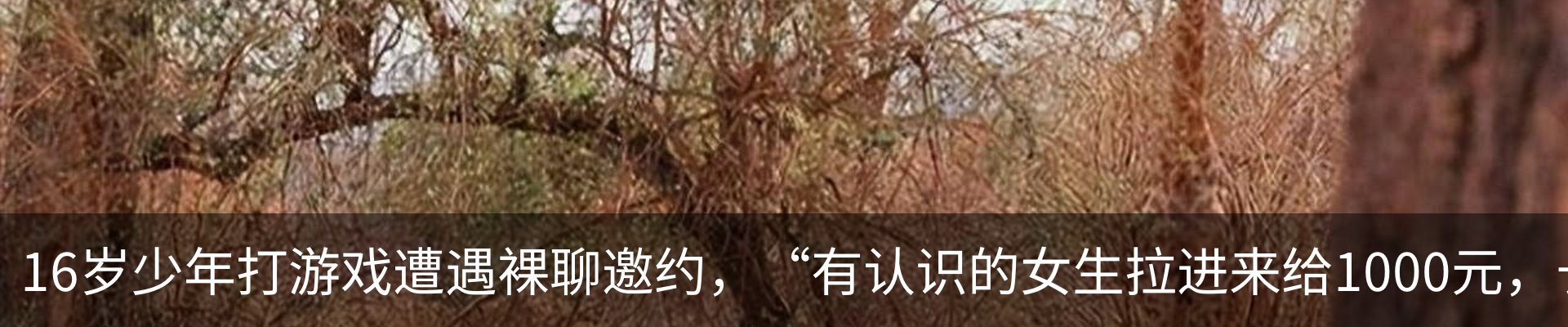 内页banner